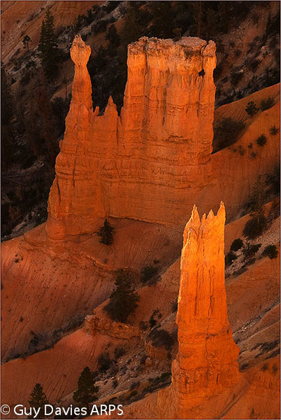 Dawn Glow at Bryce