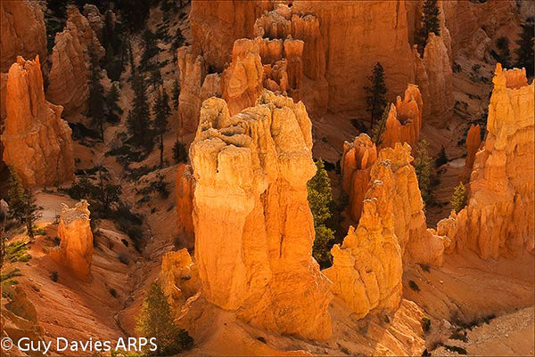 Dawn Glow at Bryce (2)