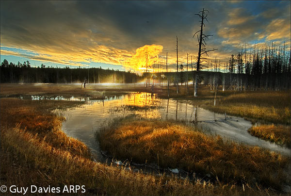 Dawn at Tangle Creek
