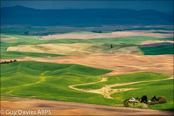 Palouse Fields