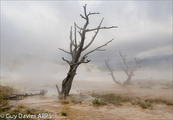 Skeletons in the Mist