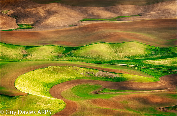 Colours & Shapes, Palouse