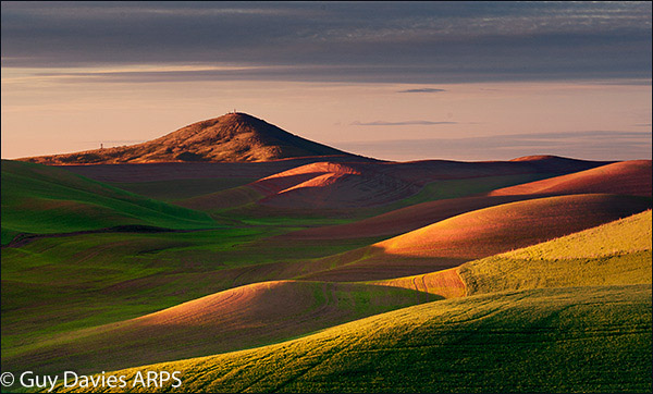 Evening Light on Steptoe Butte