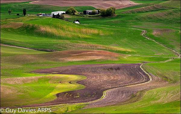 Farming the Palouse
