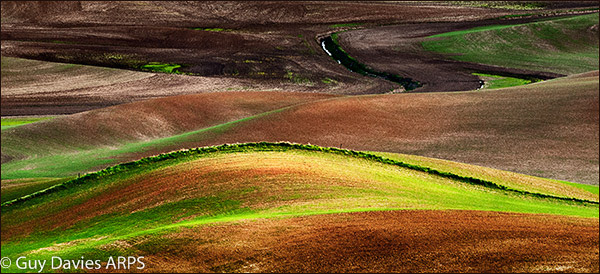 Folded Fields, Palouse