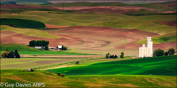 Palouse Agriculture