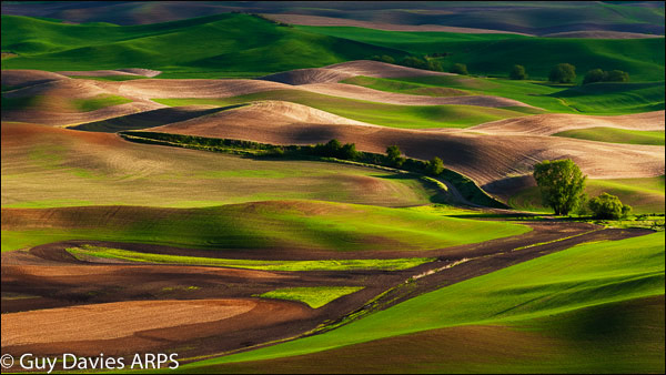 Palouse Colours
