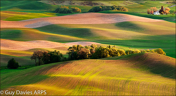 Palouse Evening
