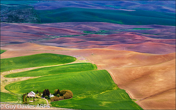 Palouse Farm