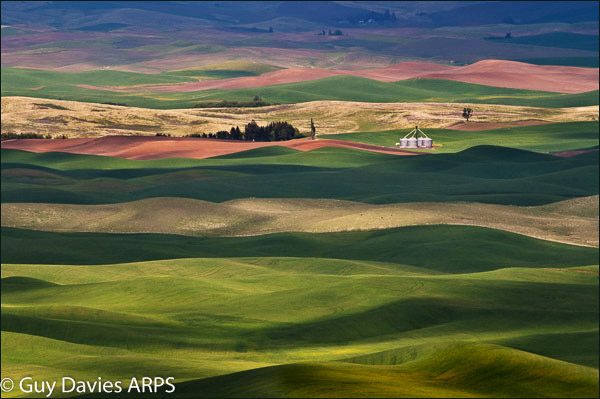 Palouse Light & Shade