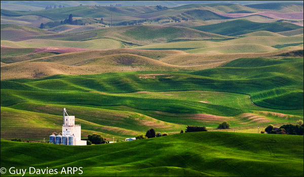 Whitman County, Palouse