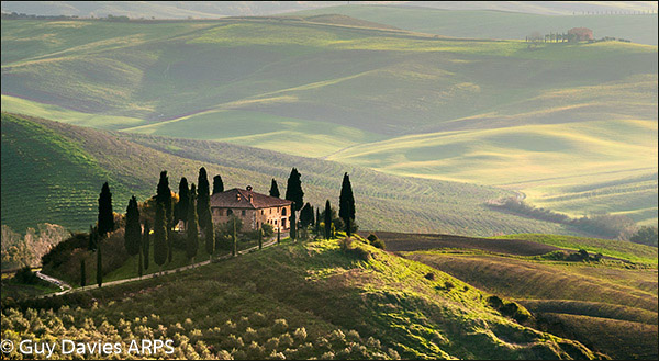 Belvedere Dawn