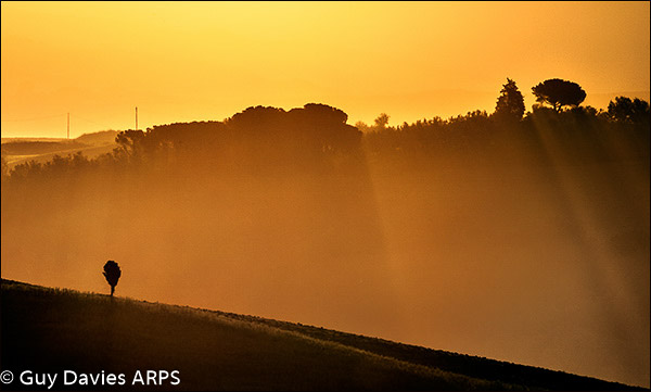 Golden Dawn Tuscany