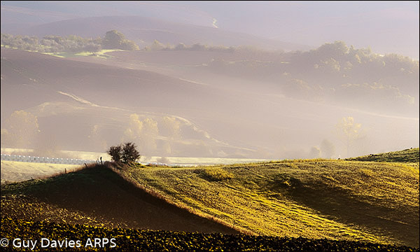 Misty Tuscan Morning