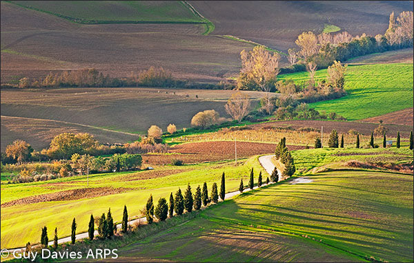 Morning Shadows Tuscany