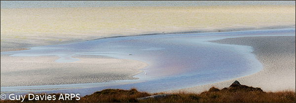 Estuary Colours