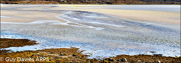 Estuary Ripples