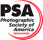 PSA Logo