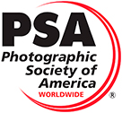 PSA Logo