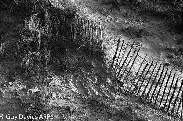 Fence in the Dunes