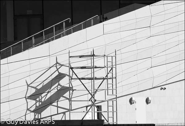 Lines & Shadows