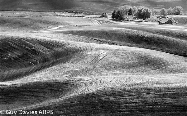 Fields and Farm, Palouse