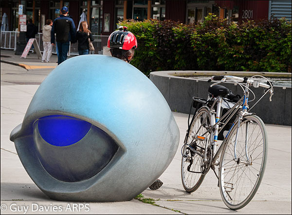 In the Public Eye